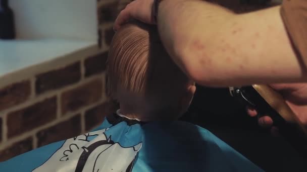Перукарня Ріже Маленький Хлопчик Перукарні Задній Вид — стокове відео