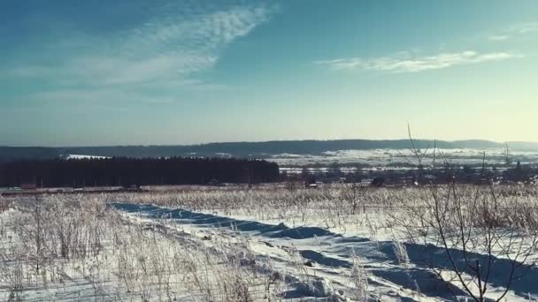 Snow Covered Grass Field Sunny Day Frost Light Wind Blows — Stock Video