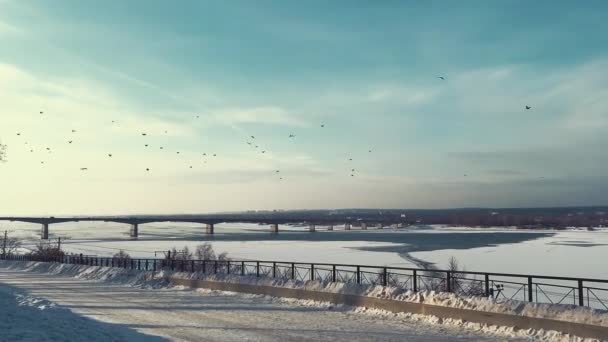 冬季在Perm的Kama河堤岸 — 图库视频影像