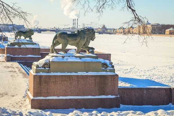 El terraplén de Neva en San Petersburgo — Foto de Stock