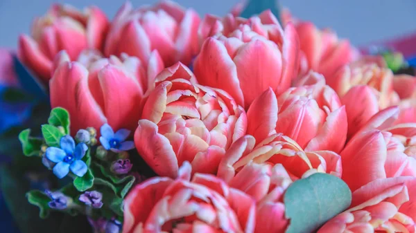 Bouquet of red tulips close-up — Stock Photo, Image