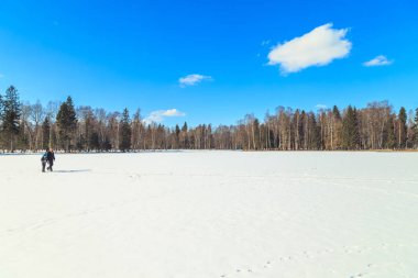 Park güneşli bir kış St. Petersburg banliyölerinde