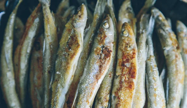 Fried smelt close up — Stock Photo, Image