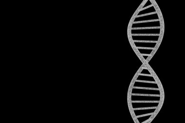 DNA çift sarmalı kopya ile siyah arka plan üzerine izole uzay 3d çizim