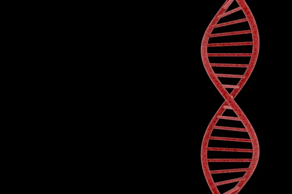 Red DNA Double Helix Isolated on Black Background with Copy Space 3D Illustration — Stock Photo, Image