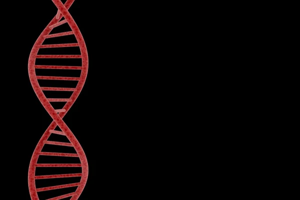 Red DNA Double Helix Isolated on Black Background with Copy Space 3D Illustration — Stock Photo, Image