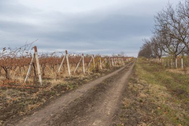 Sonbahar Road, Chisinau