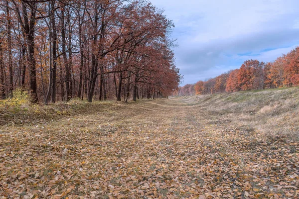 Sonbahar Road, Chisinau