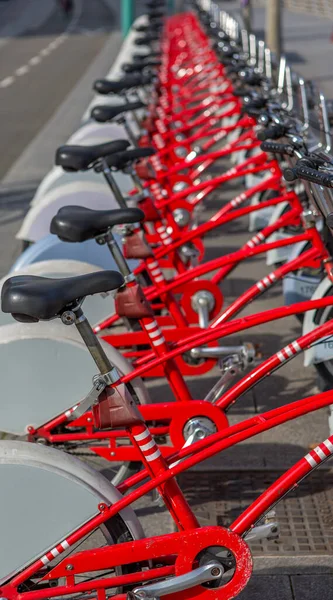 Automatisiertes Abstellen Von Fahrrädern Einer Stadtstraße Verleih Von Neuen Hochwertigen — Stockfoto