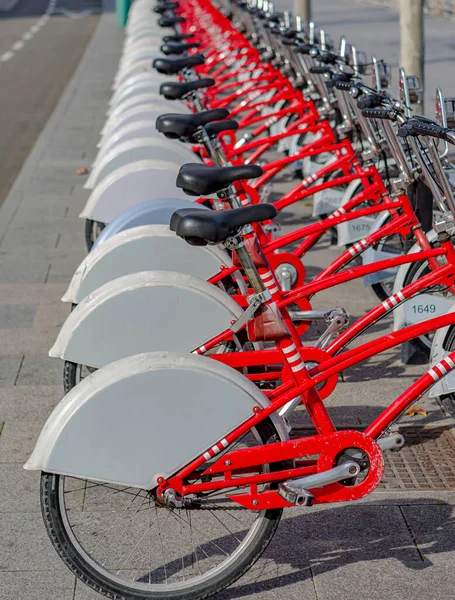 Automated Bicycle Parking City Street Rental Services New Quality Bicycles Royalty Free Stock Images