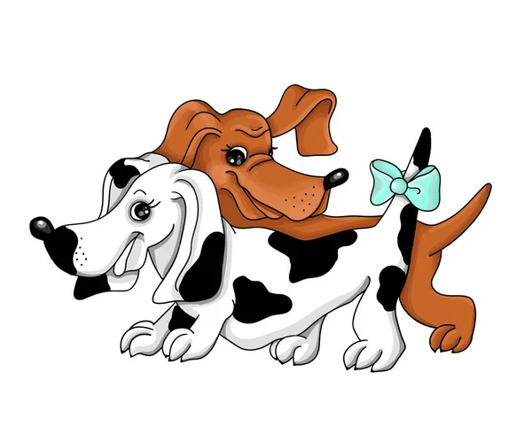 Dachshund Dog dans un fond blanc, rouge, baie, gierl, amour. Illustration vectorielle . — Image vectorielle