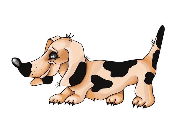 Taxshund Dog i en röd bakgrund. Vektorillustration. — Stock vektor