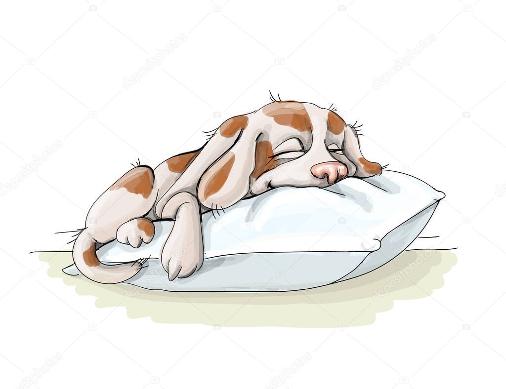 vector illustration spotted dog resting,sommer vacation nice