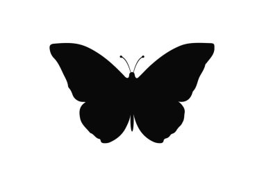 Kelebek siluet vektör simgesi üzerinde beyaz izole
