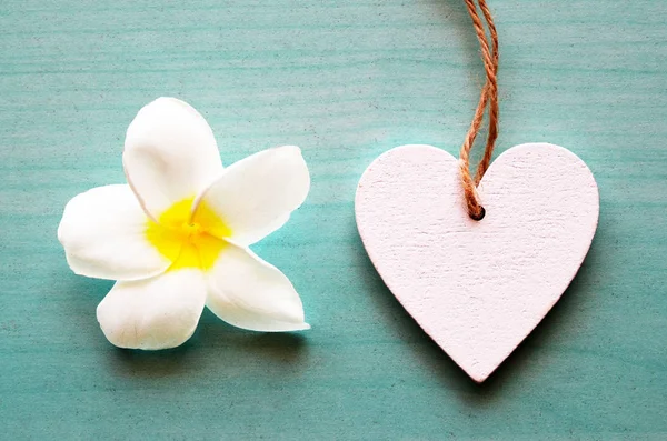 Beyaz Frangipani çiçek ve dekoratif ahşap kalp mavi ahşap arka plan üzerinde. İlkbahar veya spa konsept.
