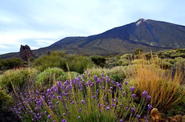 Görünüm Tenerife, Kanarya Adaları, İspanya Teide Milli Parkı.