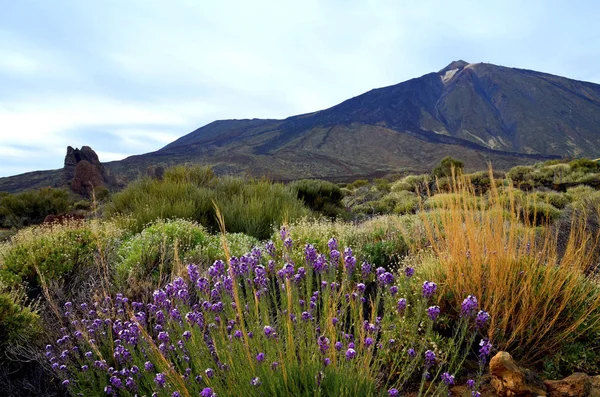 Görünüm Tenerife, Kanarya Adaları, İspanya Teide Milli Parkı.