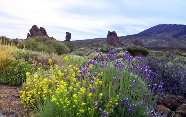 Veduta del Parco Nazionale del Teide a Tenerife, Isole Canarie, Spagna . — Foto Stock