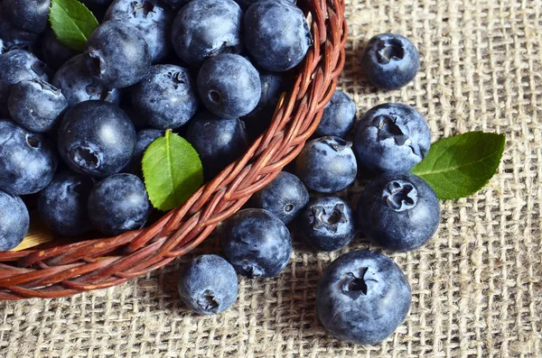 Frisch gepflückte Blaubeeren in einem Korb auf altem Holzboden. Frische Bio-Blaubeere. Bilberries.gesunde Ernährung, vegane Ernährung oder Rohkost-Konzept. Stockfoto