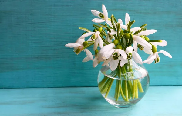 White snowdrop spring flowers in a glass vase on a light blue wooden background with copy space.Bouquet of Galanthus nivalis.Selective focus.