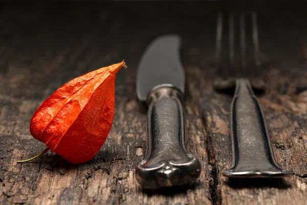 Cutlery on wooden table with Physalis (Chinese lanterns) autumna — Stock Photo, Image