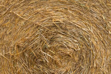 Saman afiş arka plan