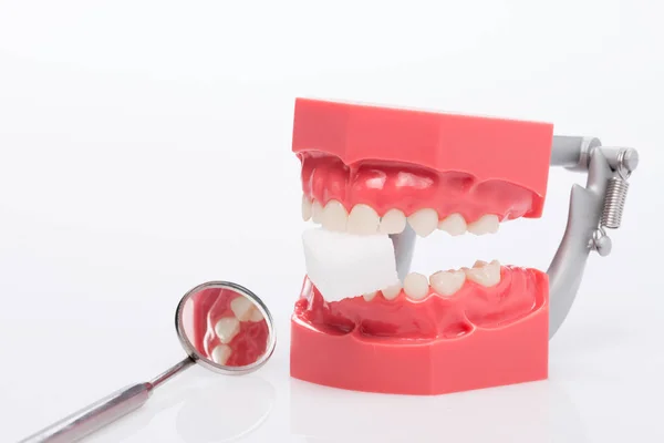 Takma diş, diş sağlığı, diş hijyeni — Stok fotoğraf