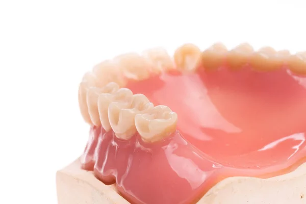 Denture, dental health, dental hygiene — Stock Photo, Image