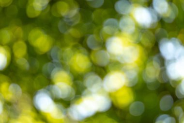 Tasarım veya resim oluşturma için yeşil, bokeh arkaplan yapısı