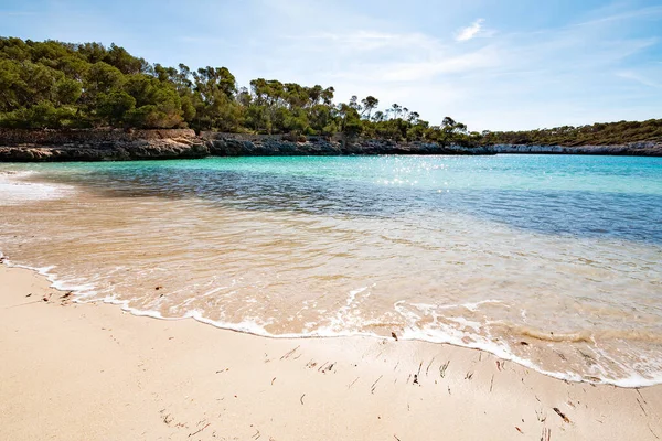 プラヤデサマラドールの海水浴場 青いターコイズブルーのビーチ マヨルカ島スペイン — ストック写真