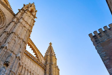 İspanyol liman kenti Palma 'daki Saint Mary Katedrali, İspanya' nın Mallorca adasının başkenti.