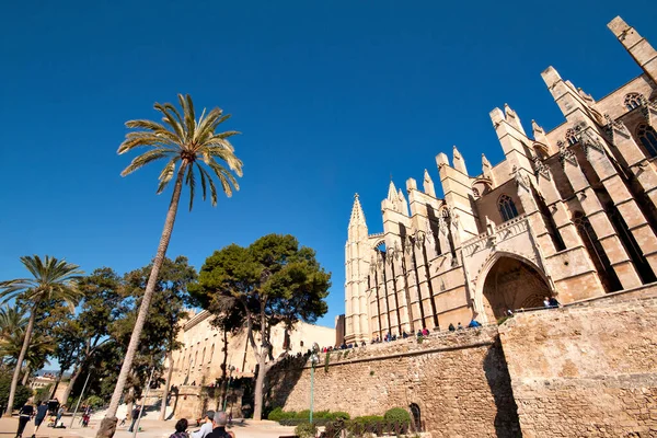Spanyol Liman Kenti Palma Daki Saint Mary Katedrali Spanya Nın — Stok fotoğraf