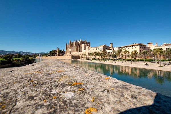 Catedral Santa María Ciudad Portuaria Española Palma Capital Isla Balear Imagen De Stock