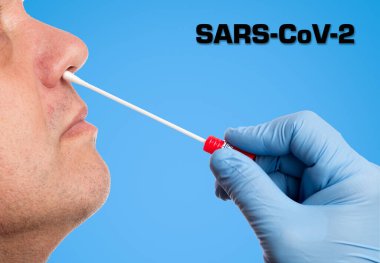 Doctor makes with a cotton swab a nasal swab test clipart