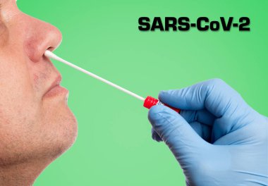 Doctor makes with a cotton swab a nasal swab test clipart