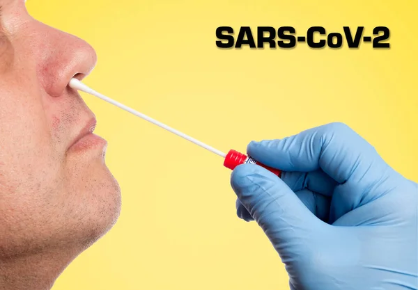 Doctor makes with a cotton swab a nasal swab test