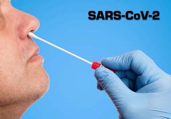 Doctor makes with a cotton swab a nasal swab test