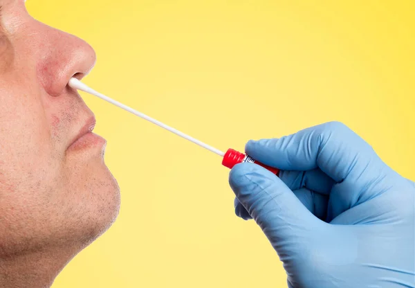 Doctor makes with a cotton swab a nasal swab test