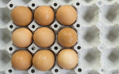 yumurta kabuğu tepsi kümes hayvanları doğa protein sağlıklı kavramı