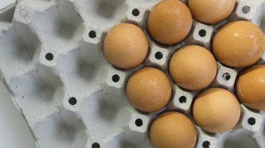 yumurta kabuğu tepsi kümes hayvanları doğa protein sağlıklı kavramı