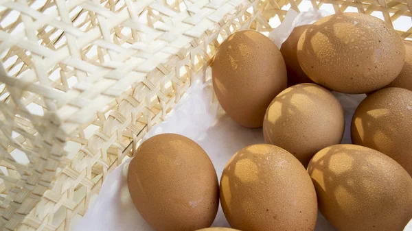 Egg shell tray poultry nature protein healthy concept — Stock Photo, Image
