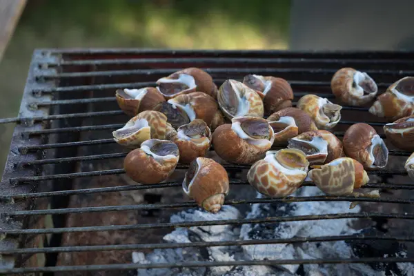 Zeevruchten gespot babylon voedsel shell keuken kok grill — Stockfoto