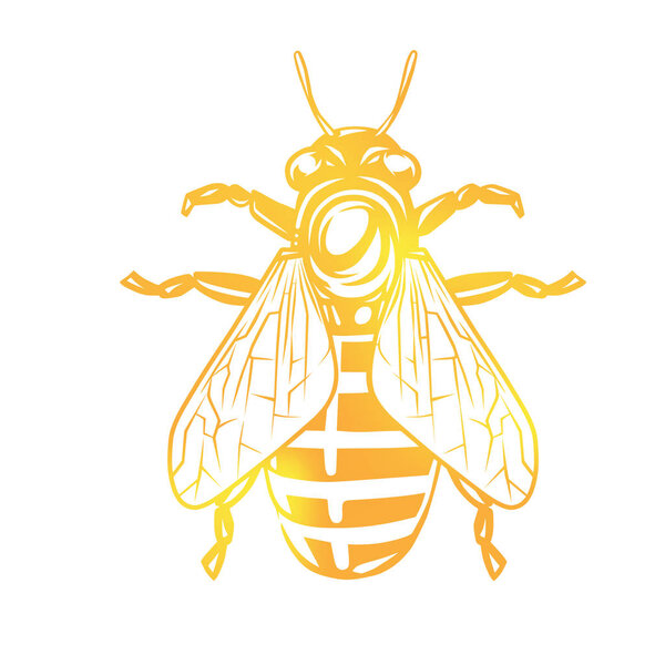 Bee illustration. Logotype isolated on white background.
