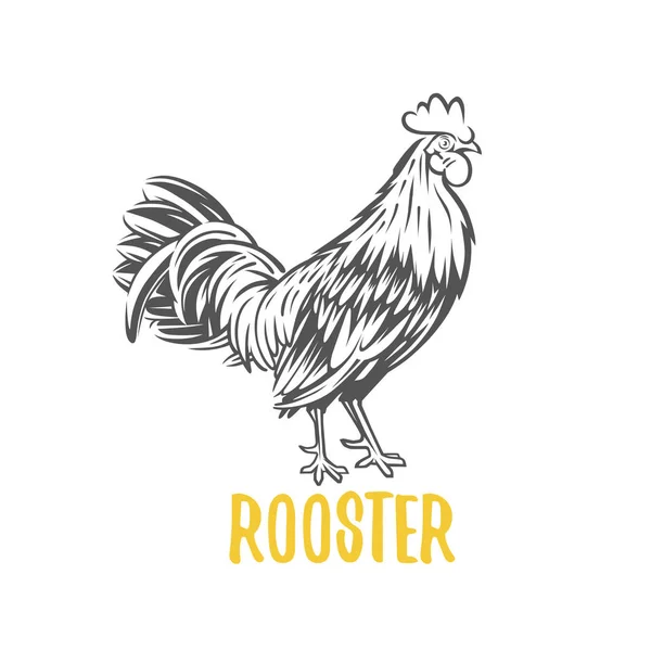 Rooster. Vector element for design, logotype and illustrations. — Stock Vector