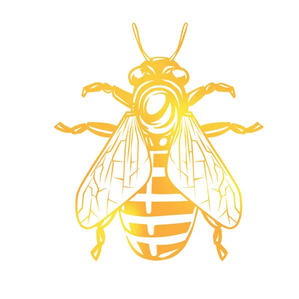Vecteurs Pour Abeille A Miel Illustrations Libres De Droits Pour Abeille A Miel Depositphotos Vecteurs Pour Abeille A Miel Illustrations Libres De Droits Pour Abeille A Miel Depositphotos