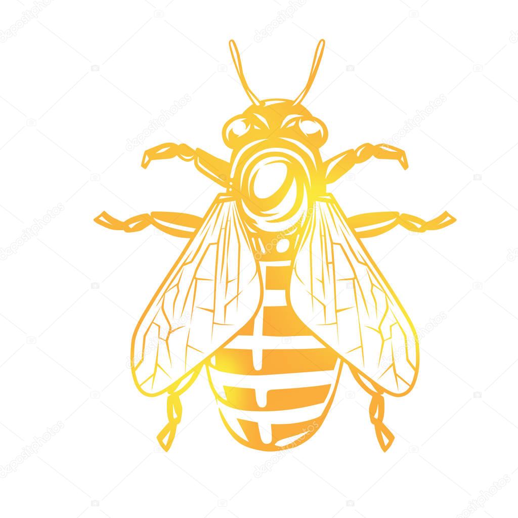 Bee illustration. Logotype isolated on white background.