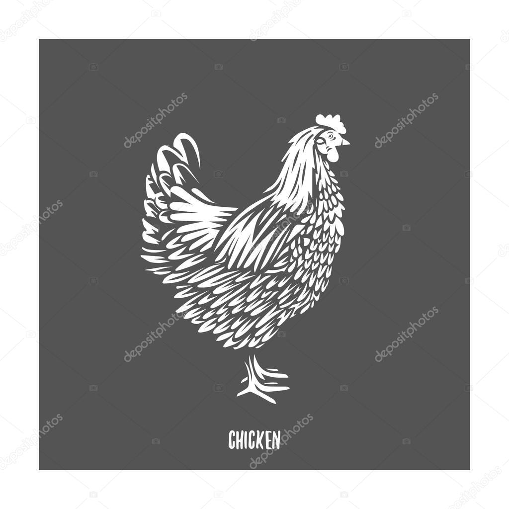 Chicken. illustration, design elements for the chicken manufacturing.