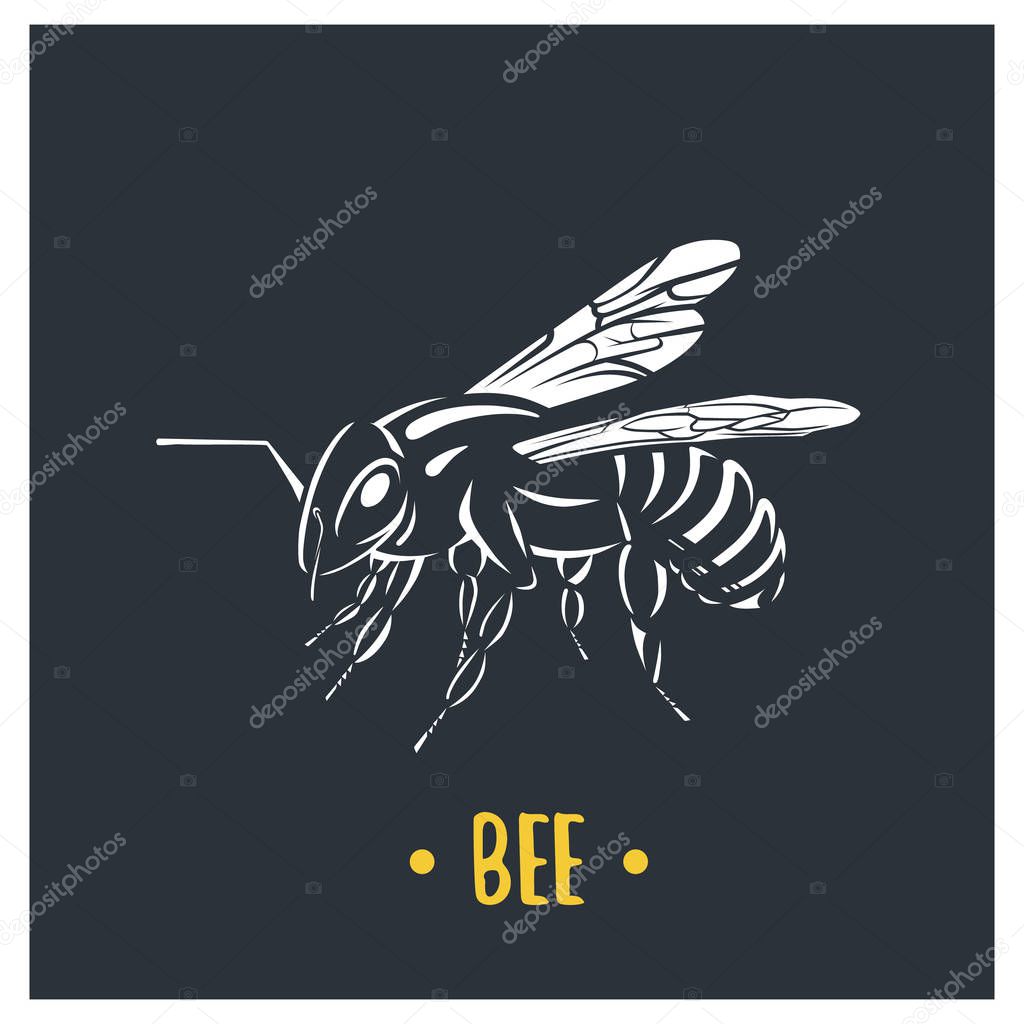Bee illustration. Vector logotype isolated on white background.