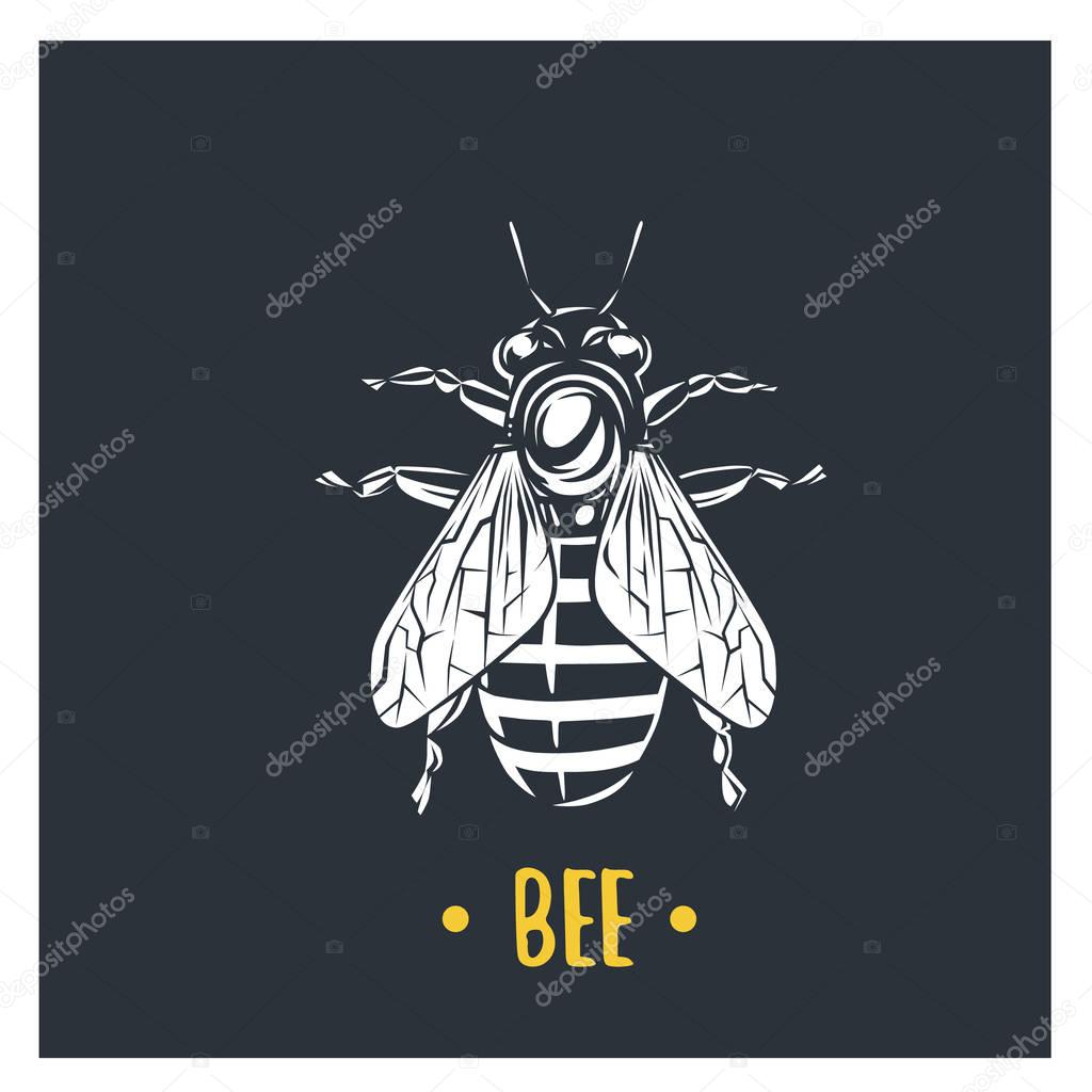 Black and white vector objects