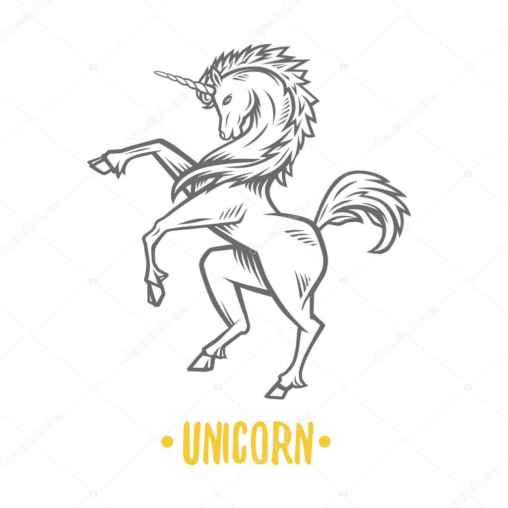 Fantasy unicorn isolated on white background